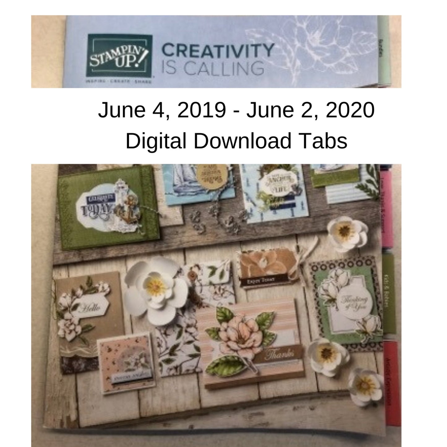 Download Stampin Up 2019 - 2020 Catalog Idea Book Paper Cardstock Tool Category Tab Label
