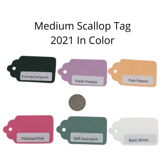 6 Genuine Medium Scallop Tag Stampin Up 2021-2023 Paper Cardstock Color Palette Ring Tool Color Swatch Book Sampler Guide Color Coach Cards