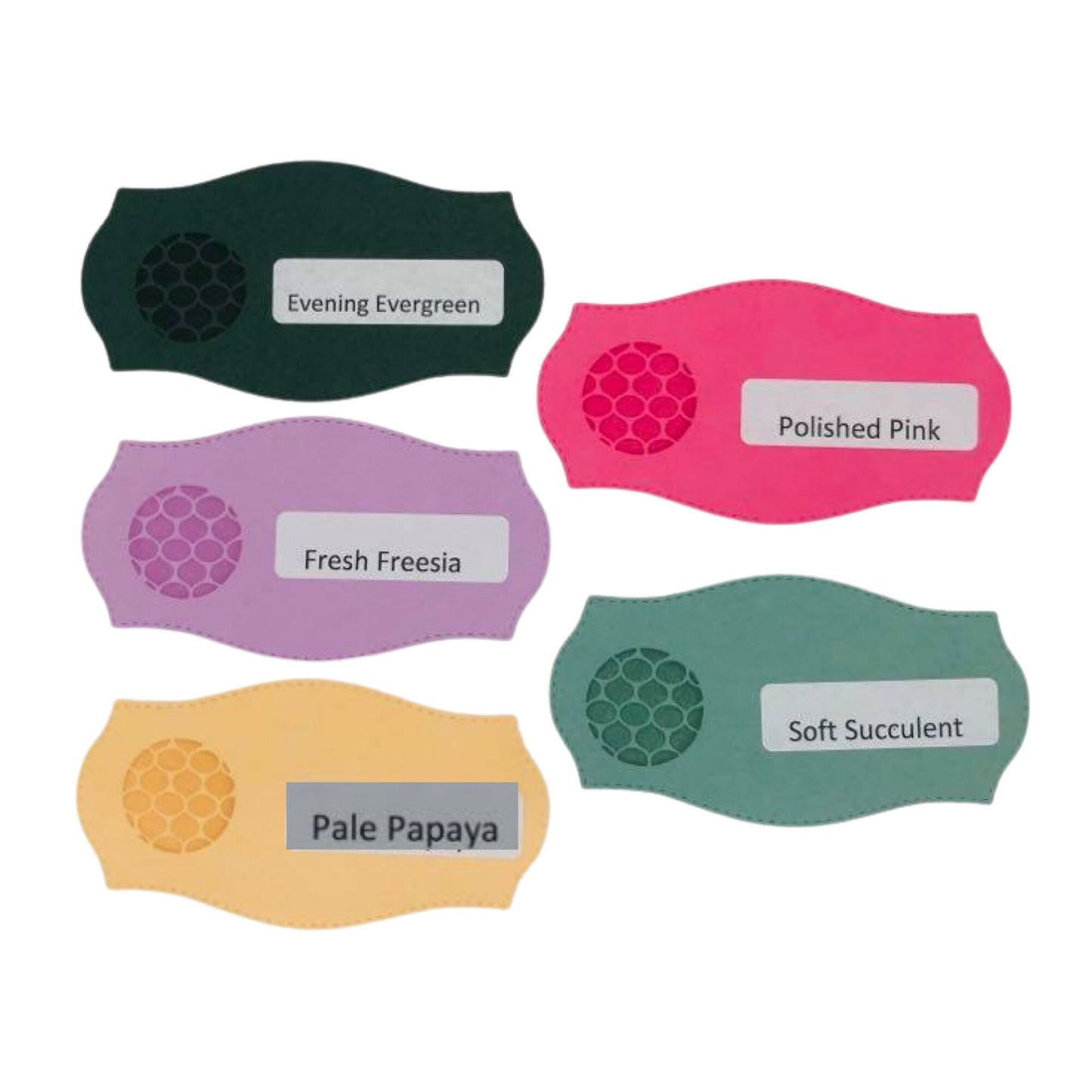 2021 Update Stampin Up Tool Paper Cardstock Labeled Tasteful Label Die Cut, Ink Swatch, Color Coach, Template Organizer Ring