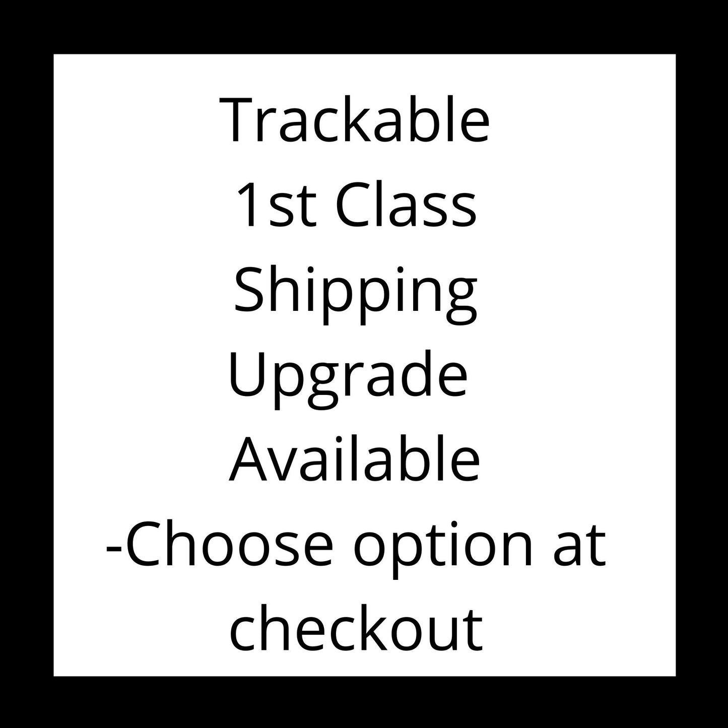 2023 - 2024 Stampin Up Catalog Idea Book Paper Cardstock Tool Category Circle Tab Punch Label